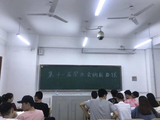 雨燕360体育手机版